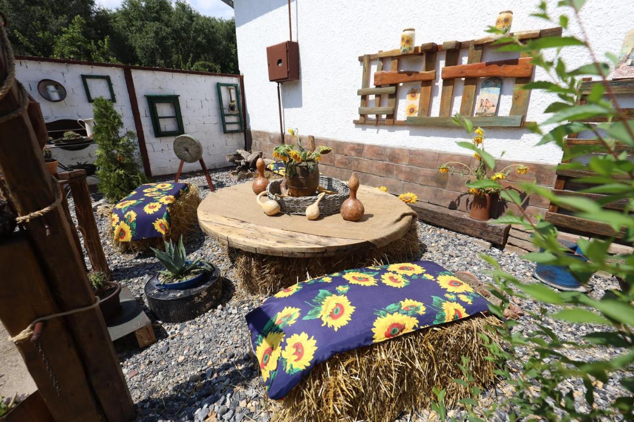 Bed and Breakfast Etno Kuca Teodora Stajicevo Exterior foto