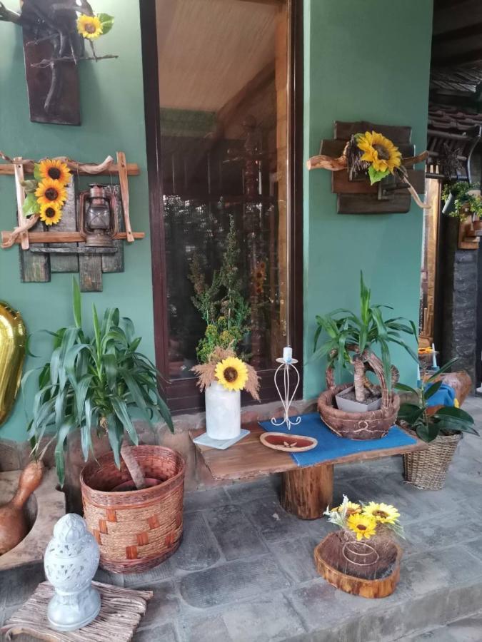 Bed and Breakfast Etno Kuca Teodora Stajicevo Exterior foto